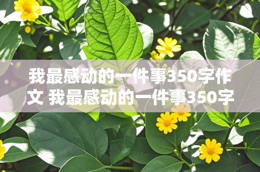 我最感动的一件事350字作文 我最感动的一件事350字作文四年级