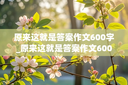 原来这就是答案作文600字_原来这就是答案作文600字初一