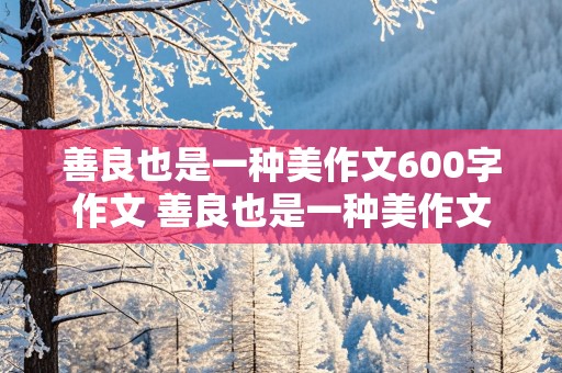 善良也是一种美作文600字作文 善良也是一种美作文600字作文怎么写