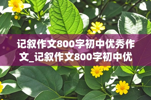 记叙作文800字初中优秀作文_记叙作文800字初中优秀作文一件难忘的事