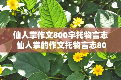 仙人掌作文800字托物言志 仙人掌的作文托物言志800