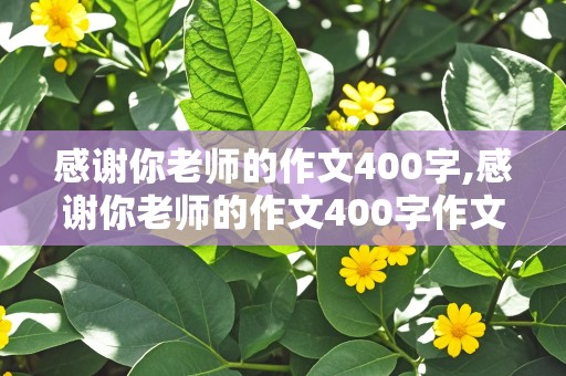 感谢你老师的作文400字,感谢你老师的作文400字作文