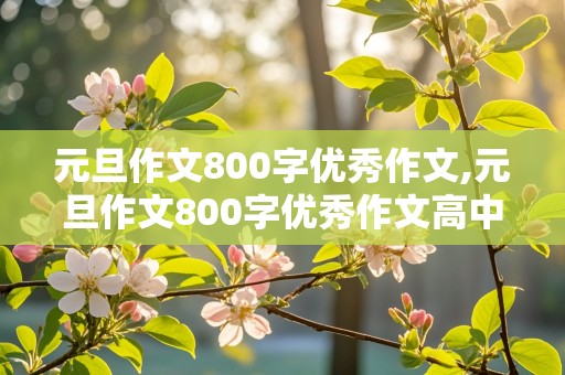 元旦作文800字优秀作文,元旦作文800字优秀作文高中