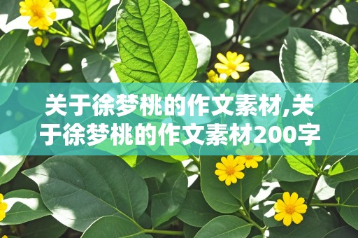 关于徐梦桃的作文素材,关于徐梦桃的作文素材200字