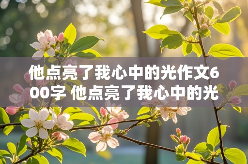 他点亮了我心中的光作文600字 他点亮了我心中的光作文600字初中