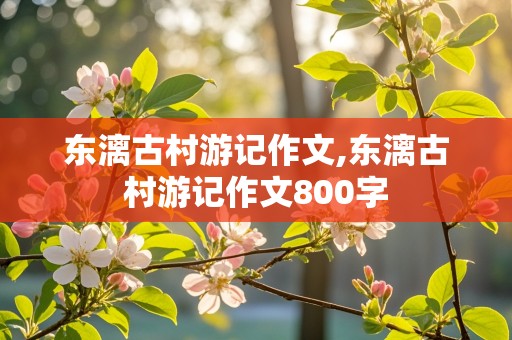 东漓古村游记作文,东漓古村游记作文800字