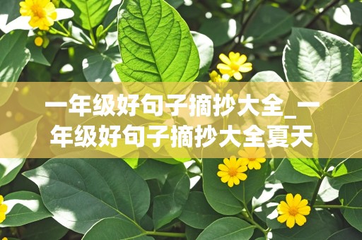 一年级好句子摘抄大全_一年级好句子摘抄大全夏天