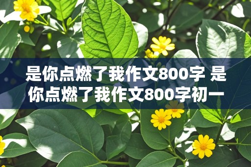 是你点燃了我作文800字 是你点燃了我作文800字初一