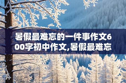 暑假最难忘的一件事作文600字初中作文,暑假最难忘的一件事作文600字初中作文怎么写