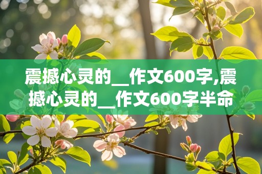 震撼心灵的__作文600字,震撼心灵的__作文600字半命题