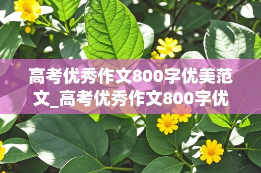 高考优秀作文800字优美范文_高考优秀作文800字优美范文摘抄