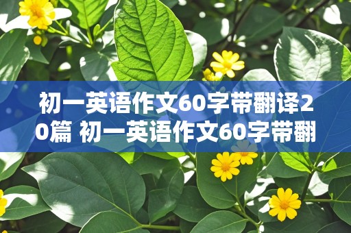 初一英语作文60字带翻译20篇 初一英语作文60字带翻译20篇暑假