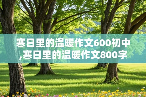 寒日里的温暖作文600初中,寒日里的温暖作文800字