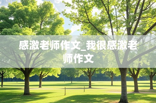 感激老师作文_我很感激老师作文