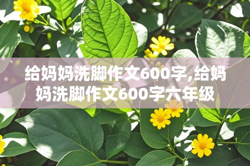 给妈妈洗脚作文600字,给妈妈洗脚作文600字六年级