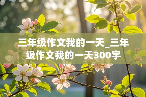 三年级作文我的一天_三年级作文我的一天300字