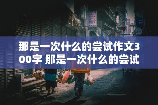 那是一次什么的尝试作文300字 那是一次什么的尝试作文400字作文怎么写