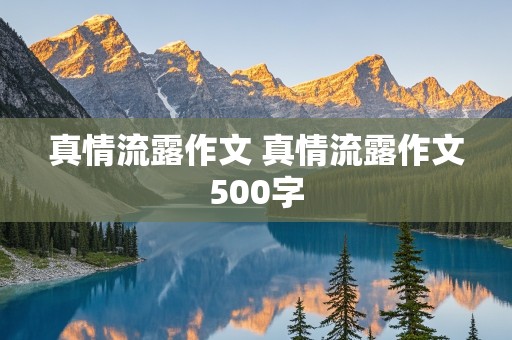 真情流露作文 真情流露作文500字