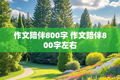 作文陪伴800字 作文陪伴800字左右