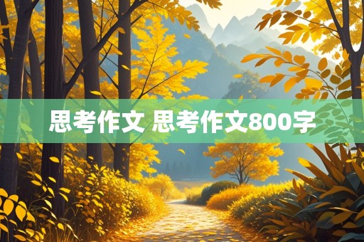 思考作文 思考作文800字