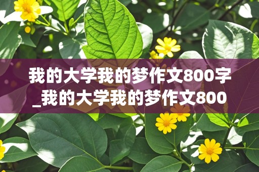 我的大学我的梦作文800字_我的大学我的梦作文800字高一