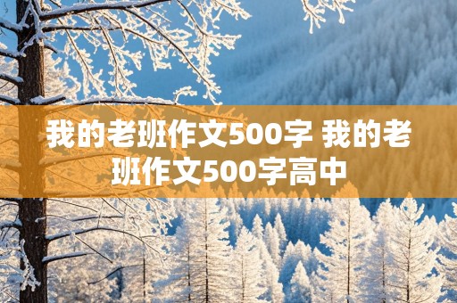 我的老班作文500字 我的老班作文500字高中