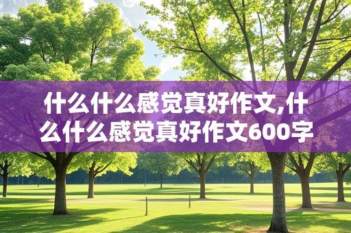 什么什么感觉真好作文,什么什么感觉真好作文600字