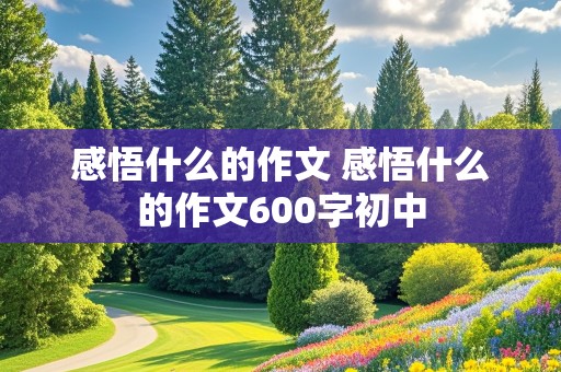 感悟什么的作文 感悟什么的作文600字初中