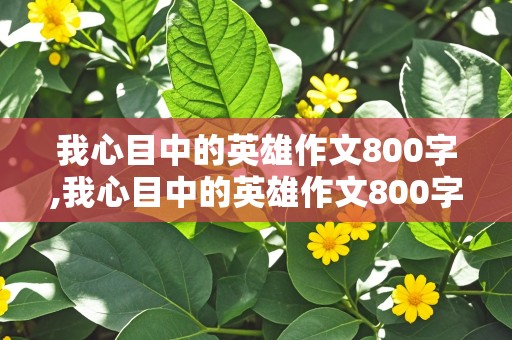 我心目中的英雄作文800字,我心目中的英雄作文800字高中