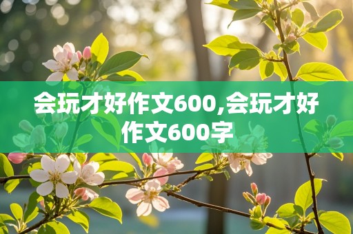 会玩才好作文600,会玩才好作文600字