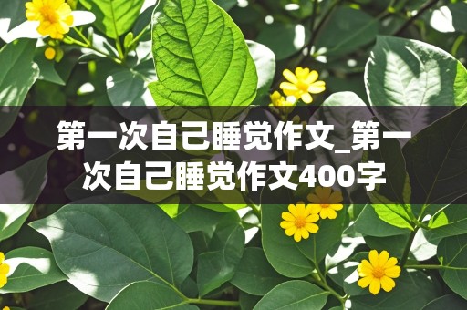 第一次自己睡觉作文_第一次自己睡觉作文400字