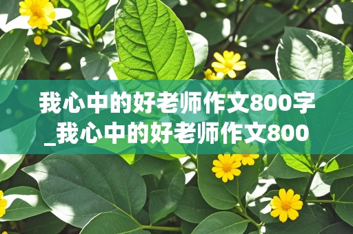 我心中的好老师作文800字_我心中的好老师作文800字初中