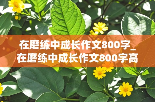 在磨练中成长作文800字_在磨练中成长作文800字高中