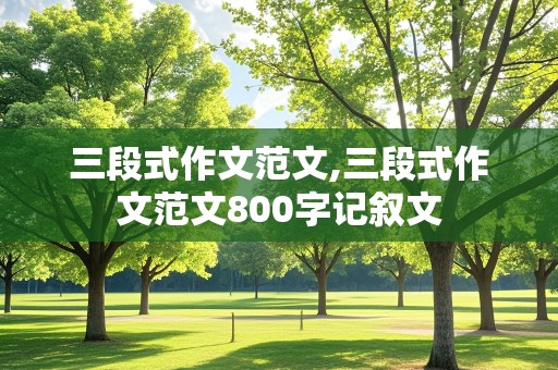 三段式作文范文,三段式作文范文800字记叙文