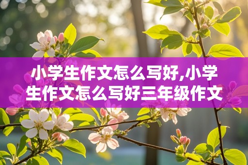 小学生作文怎么写好,小学生作文怎么写好三年级作文