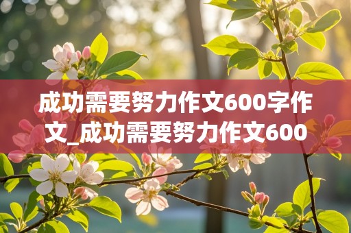 成功需要努力作文600字作文_成功需要努力作文600字作文记叙文