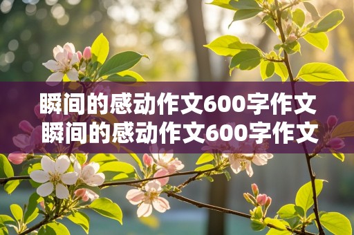 瞬间的感动作文600字作文 瞬间的感动作文600字作文初一