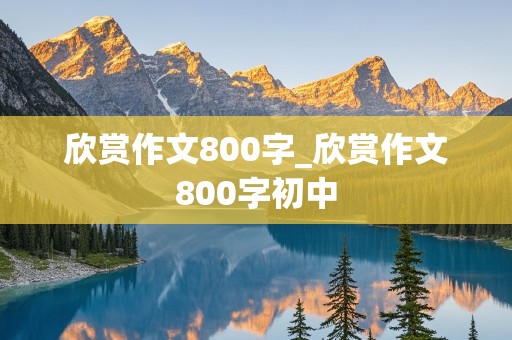 欣赏作文800字_欣赏作文800字初中