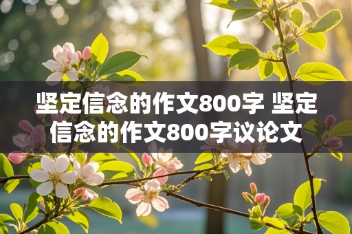 坚定信念的作文800字 坚定信念的作文800字议论文