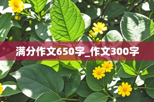 满分作文650字_作文300字