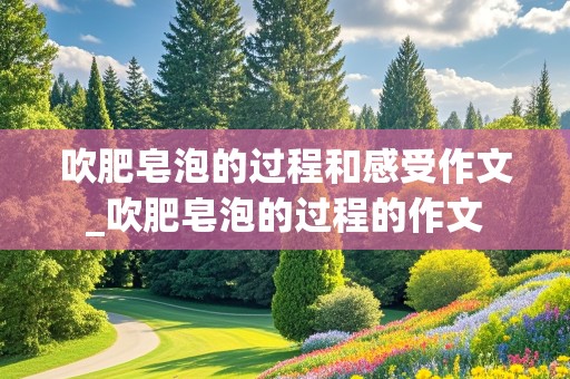 吹肥皂泡的过程和感受作文_吹肥皂泡的过程的作文