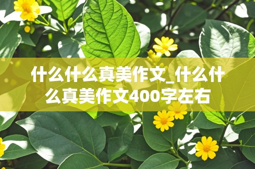 什么什么真美作文_什么什么真美作文400字左右