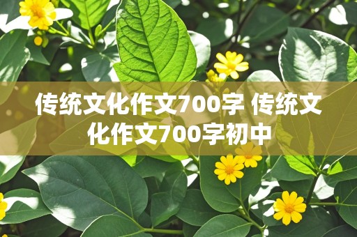 传统文化作文700字 传统文化作文700字初中