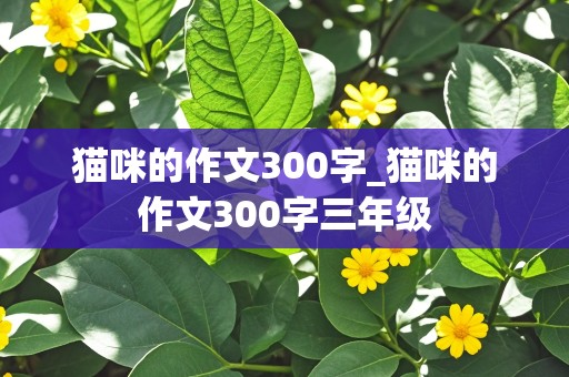 猫咪的作文300字_猫咪的作文300字三年级