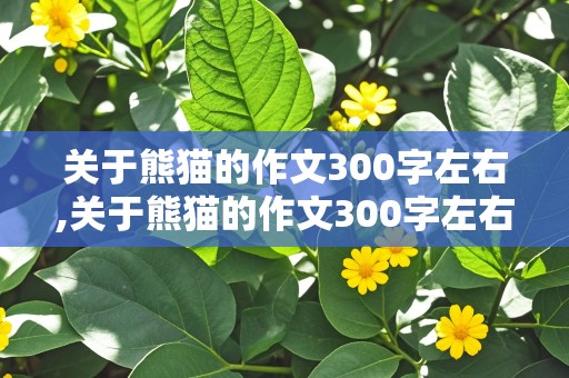 关于熊猫的作文300字左右,关于熊猫的作文300字左右三年级