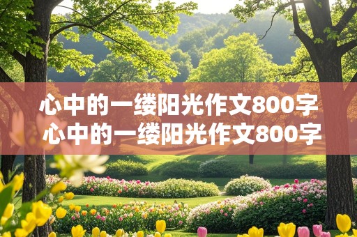 心中的一缕阳光作文800字 心中的一缕阳光作文800字初中