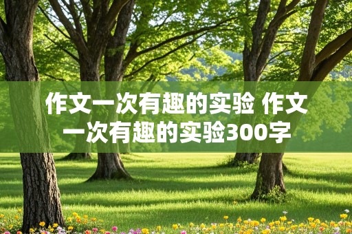 作文一次有趣的实验 作文一次有趣的实验300字