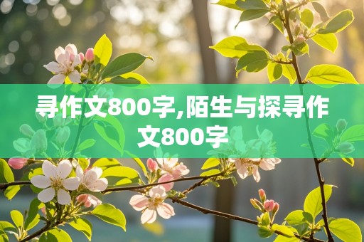 寻作文800字,陌生与探寻作文800字