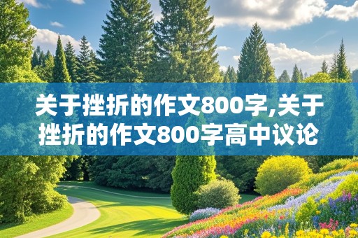 关于挫折的作文800字,关于挫折的作文800字高中议论文