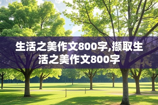 生活之美作文800字,撷取生活之美作文800字